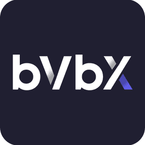 Bvbx logo