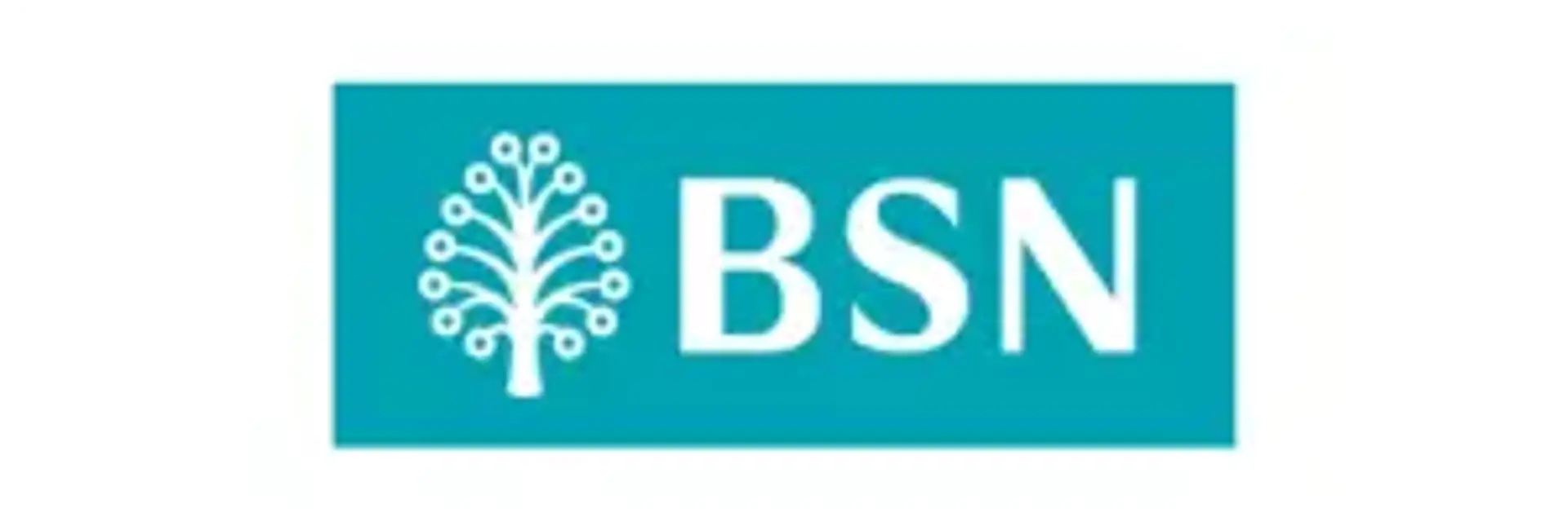 BSN Bank