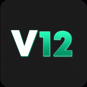 V12my logo
